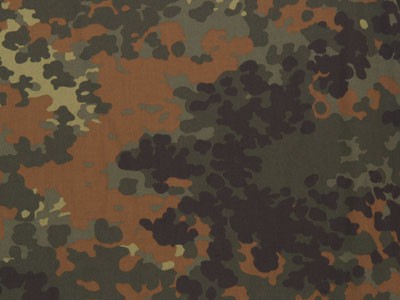 FLECKTARN